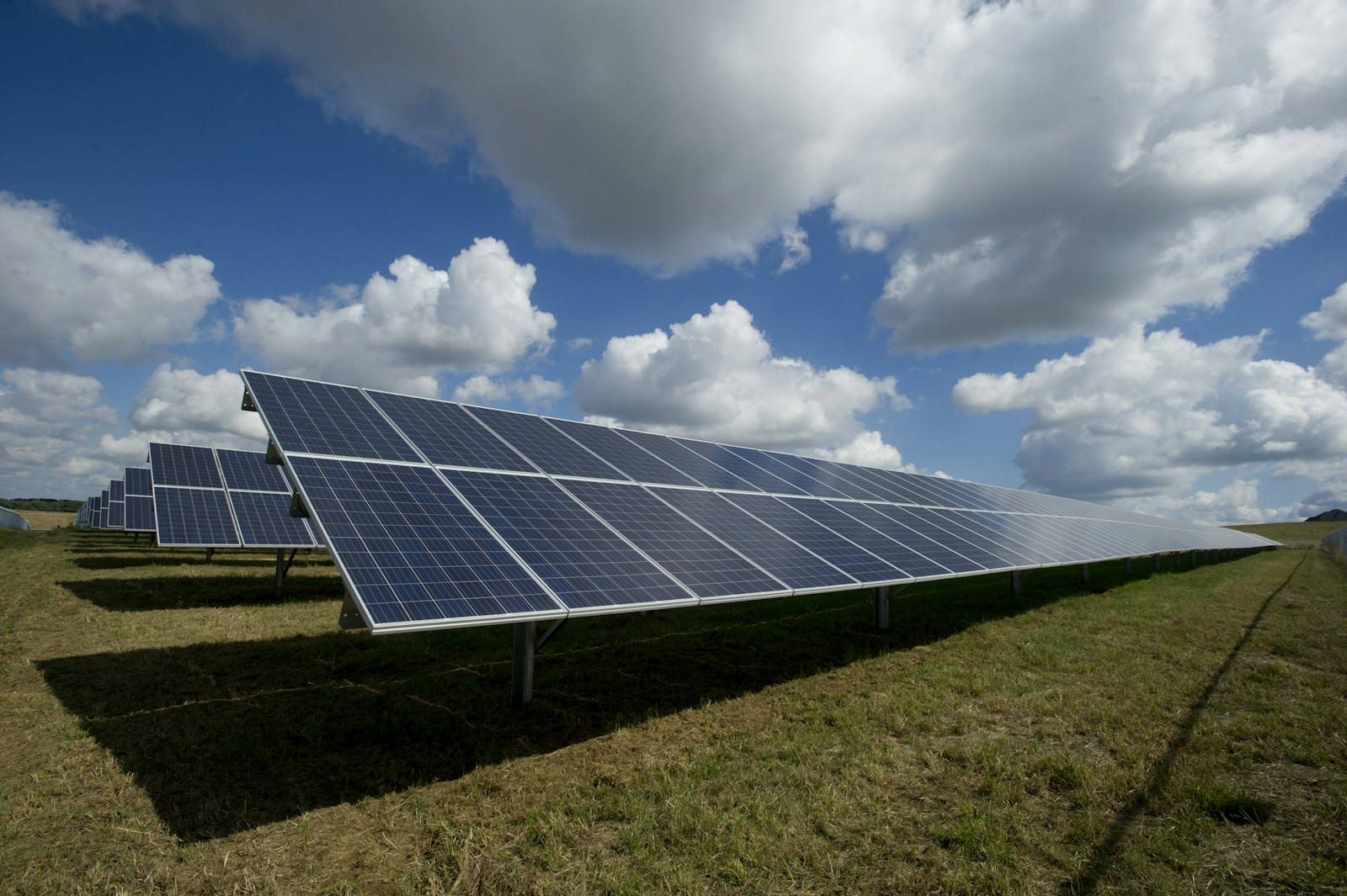 Rows of community solar panels beneath a broad summer sky